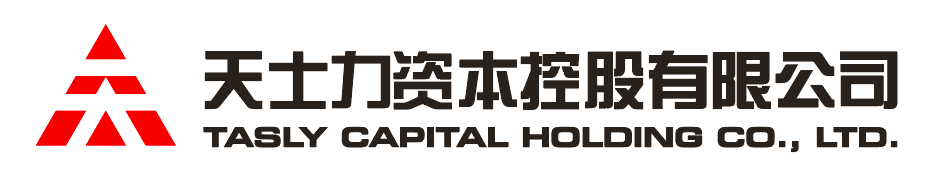 NG电子游戏资本控股有限公司